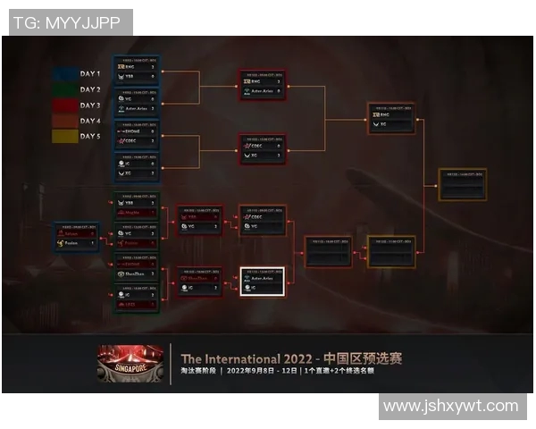 国际邀请赛中IG战队意识表现分析与点评实时数据